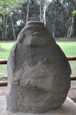 DSC_3596.JPG