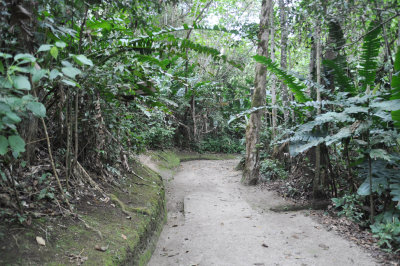 DSC_3816.JPG