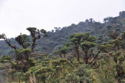 Purace National Natural Park