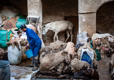 Morocco - Fez & More