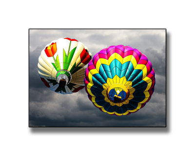 198A5293.jpg8x10 overlay.jpg