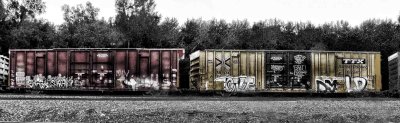 2 train cars A2.jpg