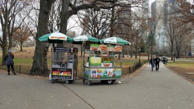 2017 12 Central Park vending.jpg