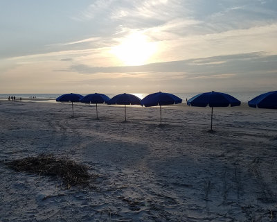 20190807_072651.jpg 8x10.jpg