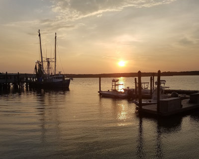 20190808_195412.jpg 8x10.jpg
