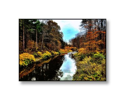 20191025_110544.jpg VIVID LIGHT.jpg