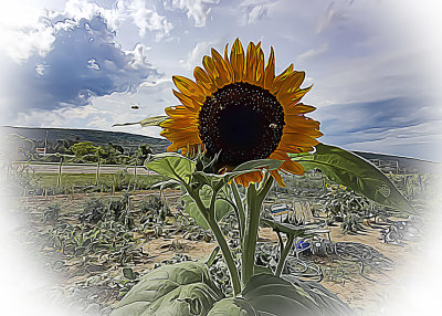 20200730_162527.psd 5x7.jpg