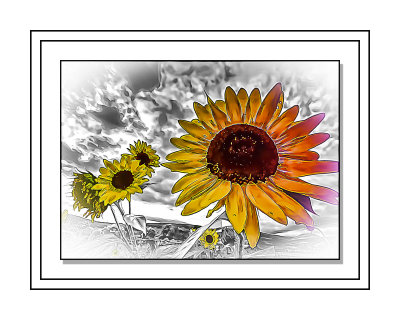20200826_181632.psd5x7 triple border.jpg