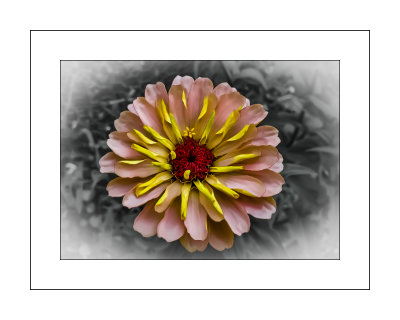 20200902_132610.psd yellow flowe 8x10.jpg