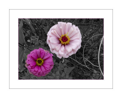 20200902_132921.psd flowers 8x10.jpg