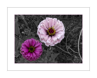 20200902_132921.psd flowers 8x10.jpg a.jpg