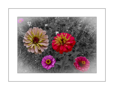20200902_132941.psd 5 flowers 8x10.jpg