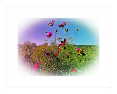 20200911_162623.psd 8x10 wild flowers.jpg