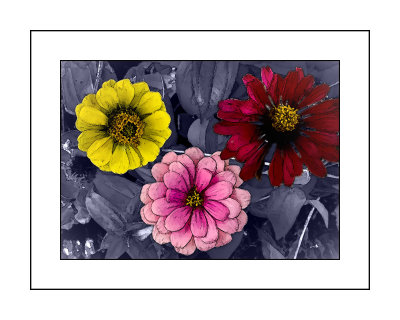 20200916_170853.psd 1.jpg