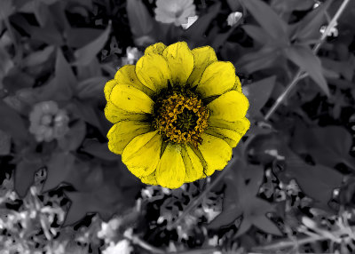 20200916_171023.psd 5x7.jpg