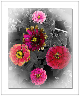 20200916_171144.psd8x10 triple border.jpg