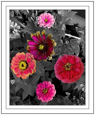 20200916_171144.psd8x10 triple border.jpg1.jpg