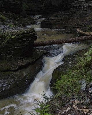 AB9K0160.JPG