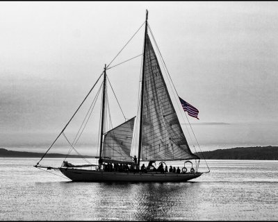 AB9K0344.jpg2.jpg
