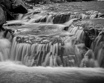 AB9K1366.jpg8x10 black. & white jpg.jpg