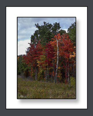 AB9K9021.psd8x10.jpg