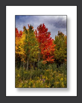 AB9K9026.psd8x10.jpg