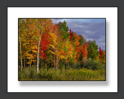 AB9K9064.psd 8x10.jpg