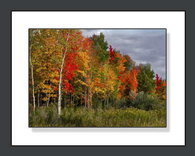 AB9K9064.psd 8x10.jpg1.jpg