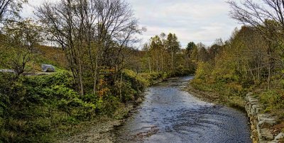 Creek 2013.jpg