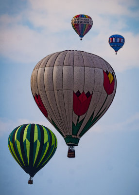 IMG_0037.jpg1.jpg1.jpg