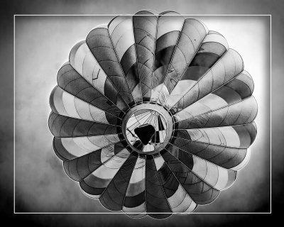 IMG_0061.jpg1 black & white.jpg