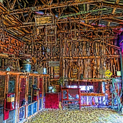 IMG_5164z.jpg