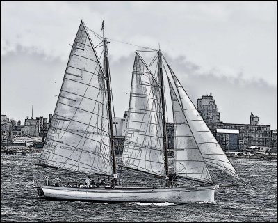 IMG_9803b&W.jpg