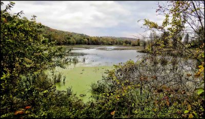 Pond on 26.jpg