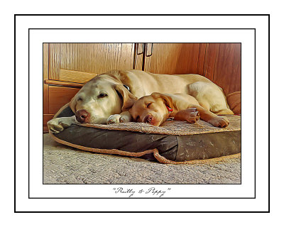 Reilly and poppy.jpg