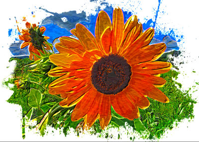 Untitled-1.psd 5x7 watercolor.jpg