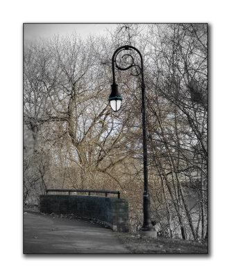 20201120_132510 copy.jpg