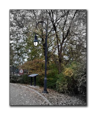 20211109_163716 copy.jpg