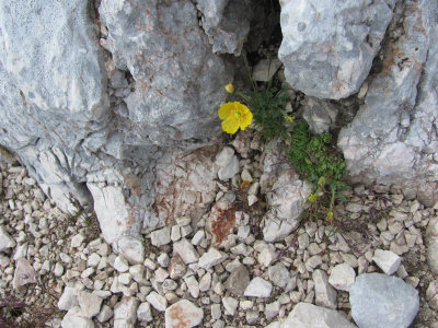 IMG_0231.JPG