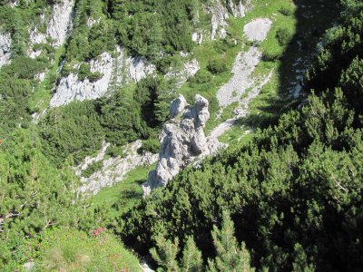 IMG_0268.JPG