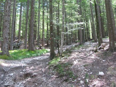 IMG_0271.JPG