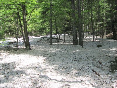 20. 07. 2019. SLO - Grintovec i Kalška gora