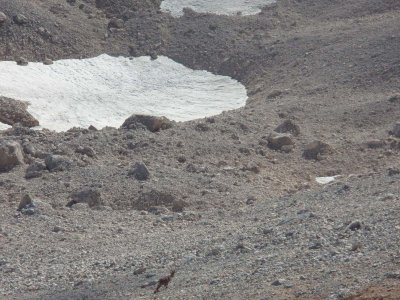 P8188557.JPG