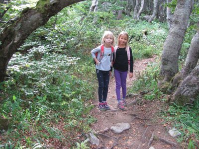 IMG_0332.JPG