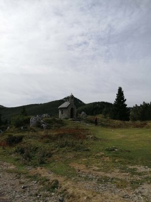 IMG_20190922_104241.jpg