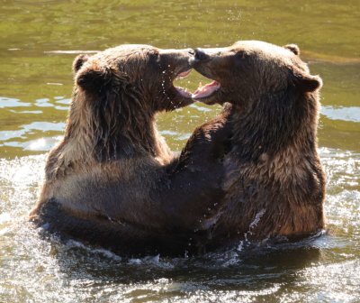 PAW27 - Sisters at Play
