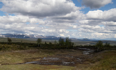 Flatruet i Hrjedalen