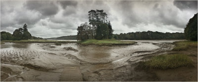 Slebech park at low tide.