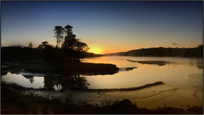 Slebech park at daybreak.