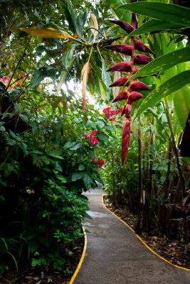 R_190308-236-Costa Rica - Pachira Lodge.jpg